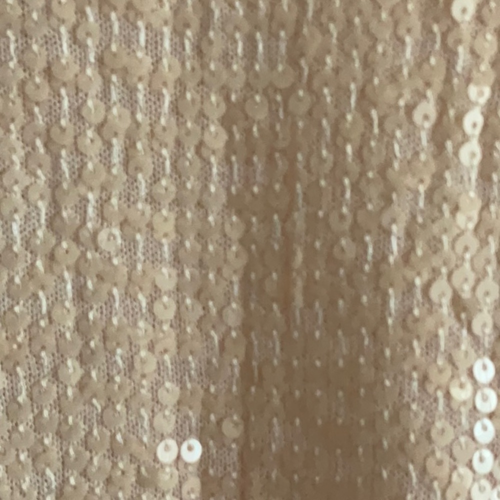 Zara Blush Sequin Sleeveless Gown - Picture 4 of 4